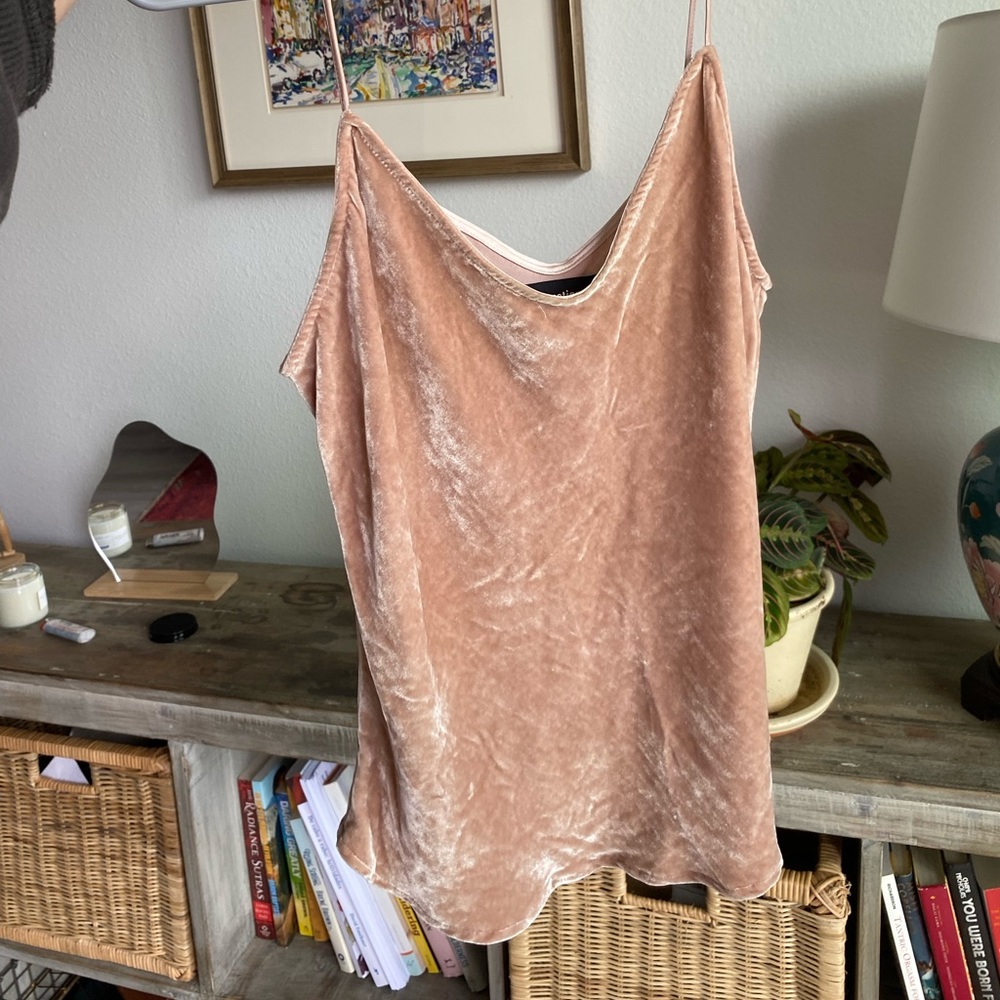 Reformation Crushed velvet light pink tank